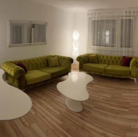 O&V Apartment Waldshut-Tiengen Buitenkant foto