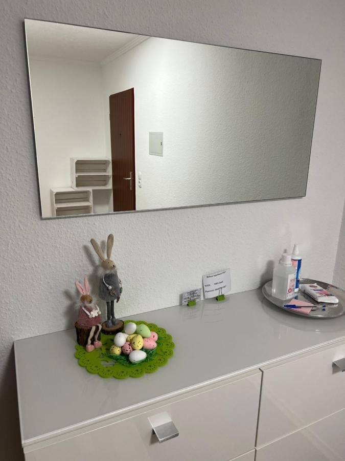 O&V Apartment Waldshut-Tiengen Buitenkant foto